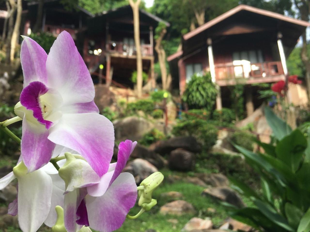 Phi Phi Green Hill Resort Exterior foto